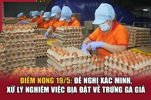 Điểm nóng 19/5: Đề nghị xác minh, xử lý nghiêm việc bịa đặt về trứng gà giả