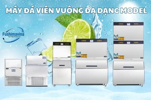 Nhu cầu sử dụng máy làm đá tăng cao ở các  nhà hàng,  quán ăn