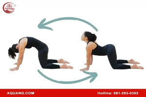 Tập các bài yoga chữa đau lưng vai gáy cùng A Quang Kegel
