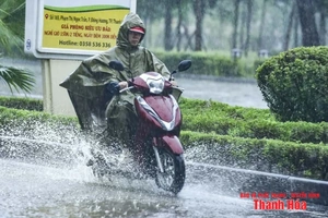 Hôm nay (1/8), link m88 có mưa rào và dông rải rác 