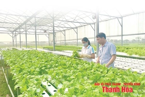 Ứng dụng công nghệ trong chuỗi cung ứng nông sản an toàn