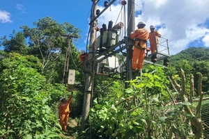 Đội quản lý Điện lực khu vực Quan Hóa đảm bảo cấp điện phục vụ Đại hội Đảng bộ các xã