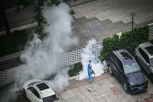 Bộ Y tế phát cảnh báo khẩn sau khi bệnh Chikungunya bùng phát mạnh ở Trung Quốc