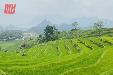 Định mức đất sản xuất nông nghiệp của hộ gia đình tại khu vực miền núi Thanh Hóa