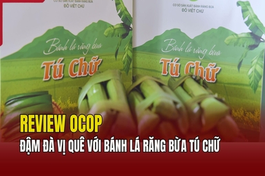 [REVIEW OCOP] Đậm đà vị quê với bánh lá răng bừa Tú Chữ