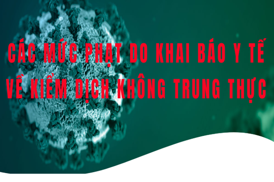 Các mức phạt do khai báo y tế về kiểm dịch không trung thực