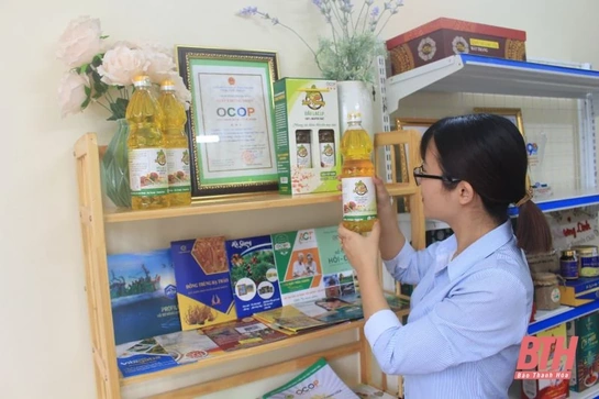 Từ ý tưởng mơ hồ và bước đi mạo hiểm đến sản phẩm OCOP
