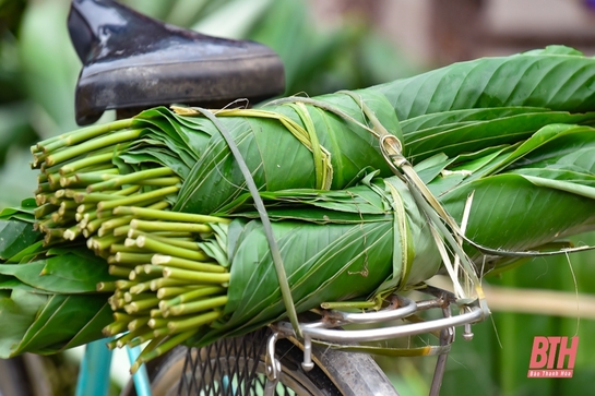 Lá dong xuống phố đón xuân về