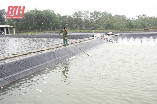 Cựu chiến binh huyện Nga Sơn đồng hành, giúp nhau phát triển kinh tế