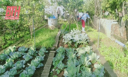Mô hình bảo vệ môi trường góp phần thực hiện tiêu chí xây dựng nông thôn mới