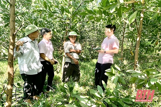 Tiếp sức cho các hộ sản xuất, kinh doanh và thương nhân hoạt động thương mại tại vùng khó khăn