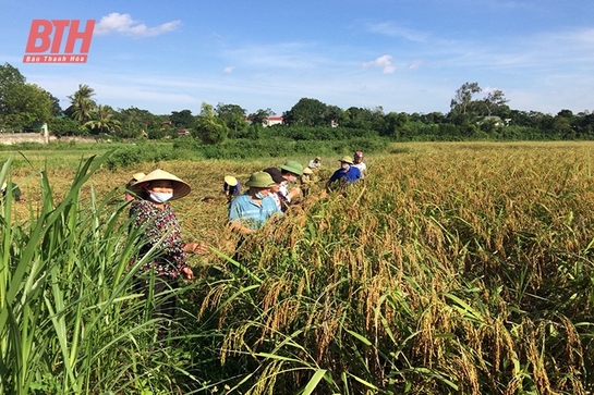 Cẩm Thủy: Quan tâm ứng dụng khoa học - kỹ thuật trong sản xuất nông nghiệp