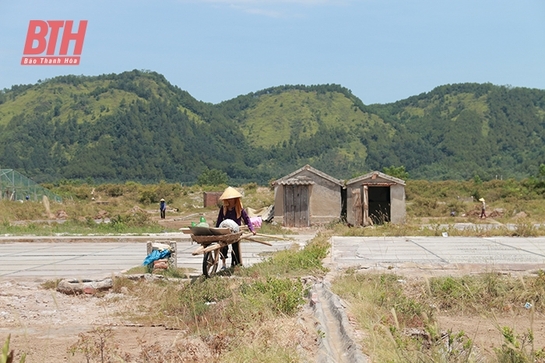 Đời người, đời muối