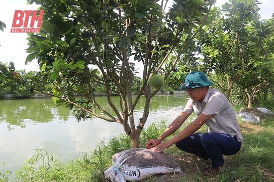 Nam Giang thực hiện tích tụ, tập trung đất đai sản xuất nông nghiệp