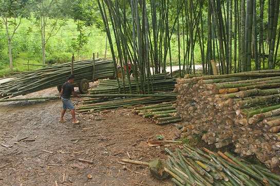 Kỳ vọng mới từ vùng luồng Châu Lang