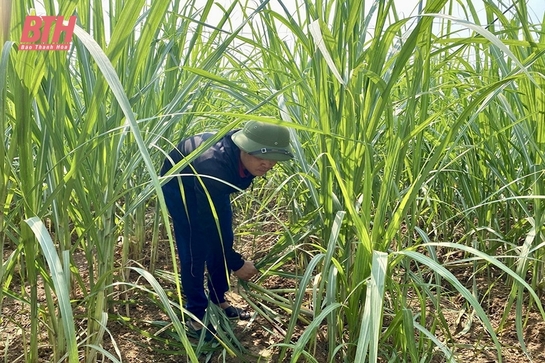 Tỏa sáng nghị lực của những “vầng trăng khuyết”