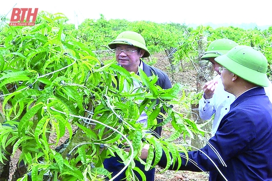 Triệu Sơn từng ngày đổi mới