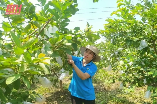 Phó chủ tịch hội phụ nữ gương mẫu, hết lòng vì công việc