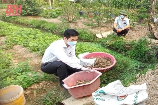 Nhân rộng mô hình phân loại, xử lý rác thải tại nguồn