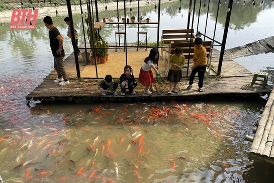 Manh nha những mô hình du lịch nông nghiệp