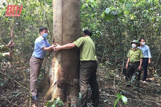 Cẩm Thủy tăng cường bảo vệ, phòng cháy, chữa cháy rừng