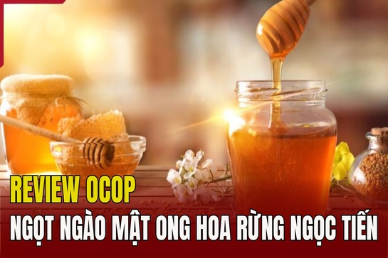 [REVIEW OCOP]  Ngọt ngào mật ong hoa rừng Ngọc Tiến