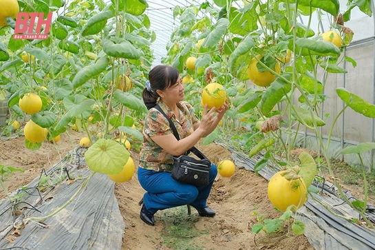 Nâng cao chất lượng hàng hóa nông sản