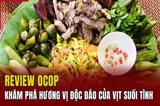 [REVIEW OCOP]: Khám phá hương vị độc đáo của vịt suối Tình