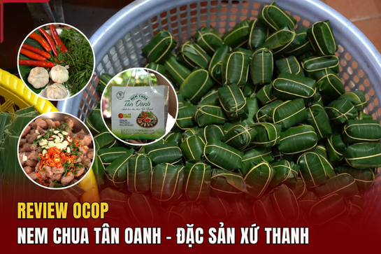 [REVIEW OCOP] - Nem  chua Tân Oanh - đặc sản xứ Thanh