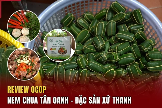 [REVIEW OCOP] - Nem  chua Tân Oanh - đặc sản xứ Thanh