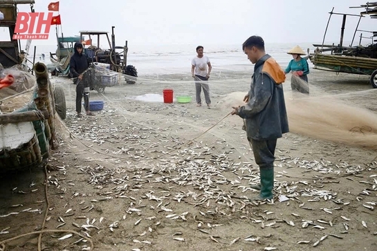 Thúc đẩy lĩnh vực thủy sản trở thành một trợ lực phát triển kinh tế - xã hội