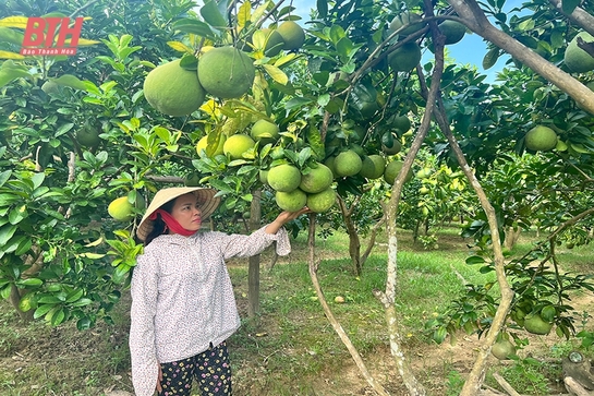 Ứng dụng khoa học - kỹ thuật trong sản xuất vườn trại