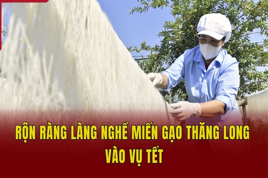 Rộn ràng làng nghề miến gạo Thăng Long vào vụ Tết