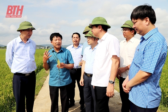 Vững bước trên hành trình xây dựng huyện NTM nâng cao - Hướng tới xây dựng huyện NTM kiểu mẫu