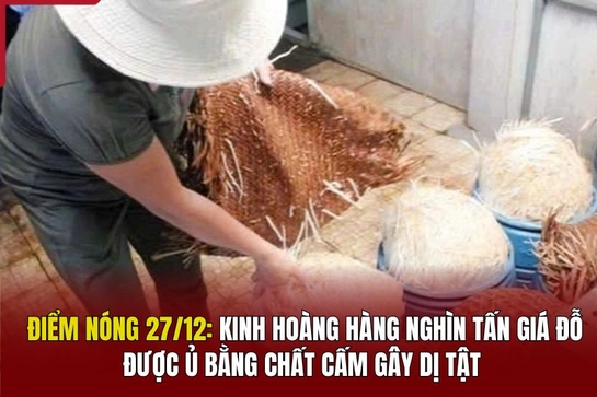 Điểm nóng 27/12: Kinh hoàng hàng nghìn tấn giá đỗ được ủ bằng chất cấm gây dị tật