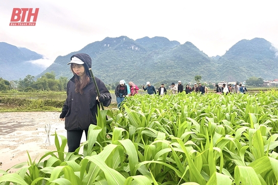 Phát triển trekking tour theo hướng chuyên nghiệp, hấp dẫn