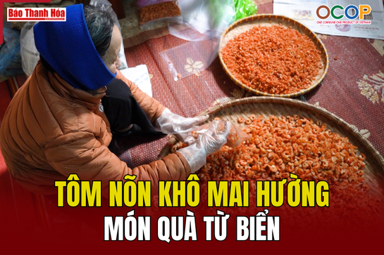 [REVIEW OCOP] Tôm nõn khô Mai Hường - món quà từ biển