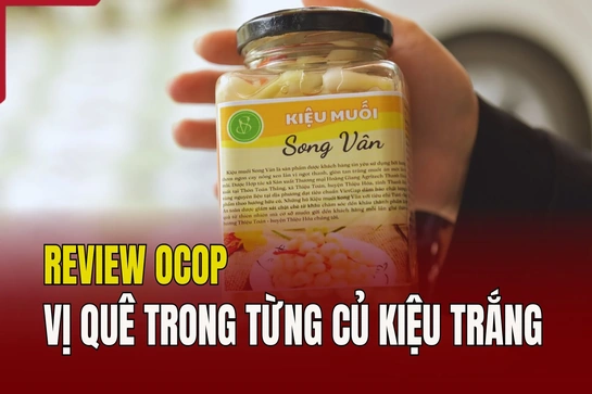 [REVIEW OCOP] Vị quê trong từng củ kiệu trắng