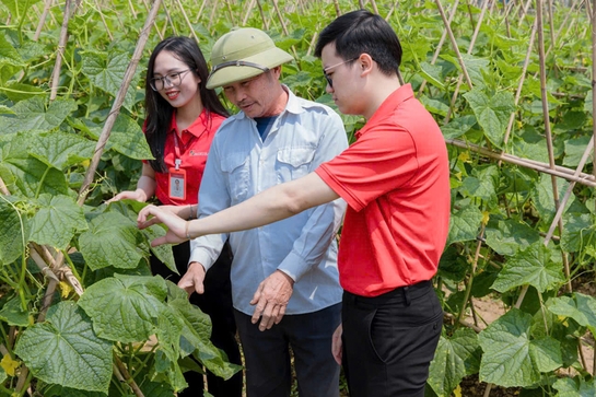 Đảng bộ Agribank Nam Thanh đăng ký m88 lãnh đạo hoạt động kinh doanh hiệu quả