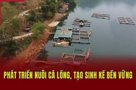 Phát triển nuôi cá lồng, tạo sinh kế bền vững