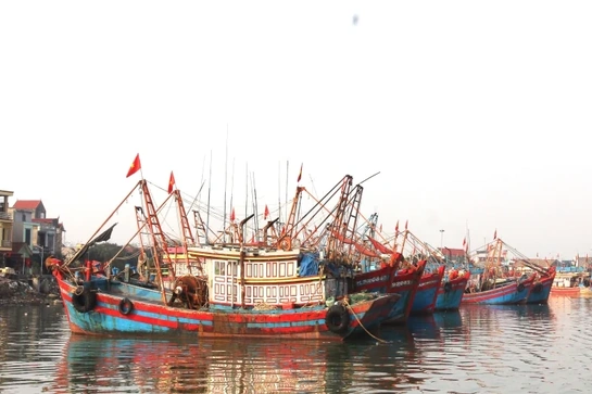 Động viên ngư dân bám biển sản xuất bình thường trong phạm vi vùng biển của Việt Nam