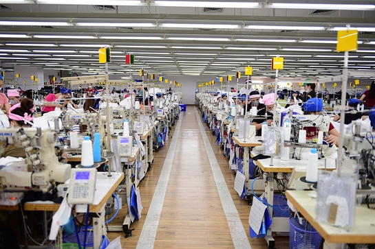 Công ty TNHH Sakurai Việt Nam: Hành trình vững bước vươn xa, nâng tầm giá trị Việt