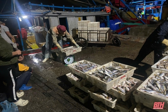 Cảng cá Hòa Lộc đảm bảo cho tàu thuyền bốc dỡ hàng hoá và tránh trú bão an toàn 