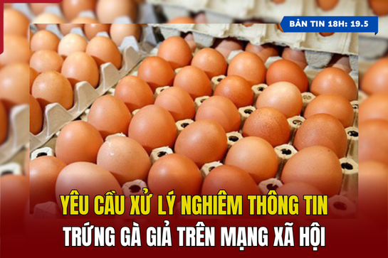 [Bản tin 18h] Yêu cầu xử lý nghiêm thông tin trứng gà giả trên MXH