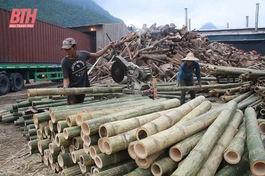 Nhân rộng mô hình HTX hoạt động hiệu quả trên địa bàn huyện Quan Hóa