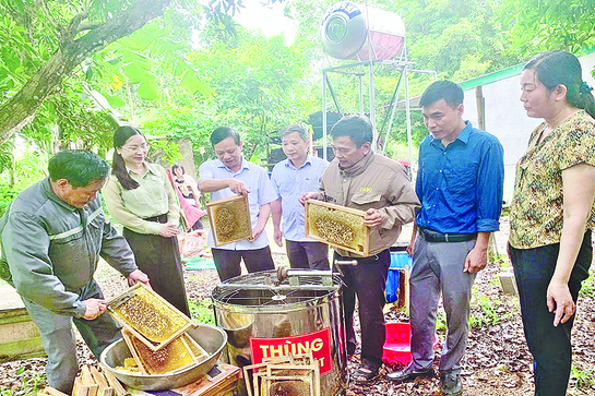 Khi nông dân bắt nhịp chuyển đổi số