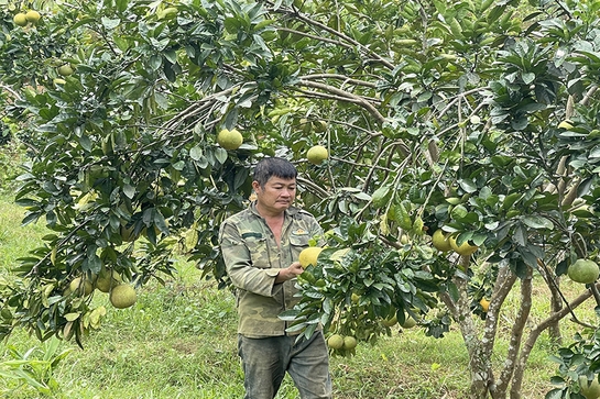 Phát huy vai trò chủ thể của người dân trong xây dựng nông thôn mới