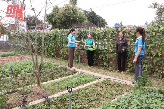 Lan tỏa phong trào “Nhà sạch, vườn đẹp”, “Hàng rào xanh”