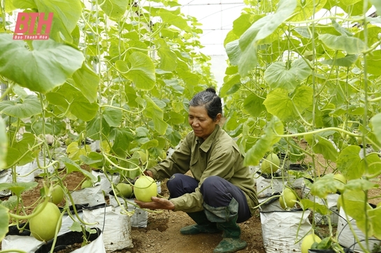 Xây dựng các mô hình m m88 xuất theo hướng ứng dụng khoa học - công nghệ