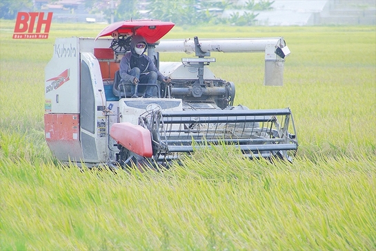 Nông m88 cá cược thể thao trực tuyến thời công nghệ số